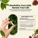 nad-supplement-with-nicotinamide-ribosid-4.jpg