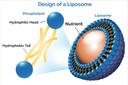 liposomal-curcumin-tumeric-and-resveratr-5.jpg