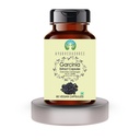 ayurvedashree-garcinia-extract-500mg-60--2.jpg