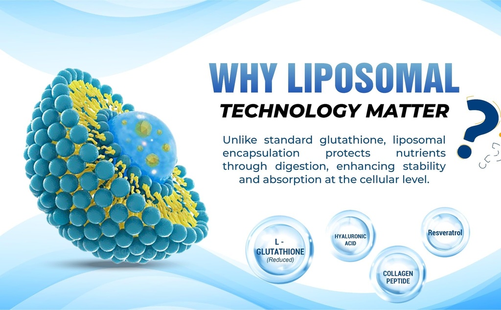 liposomal-glutathione-supplement-high-po-5.jpg