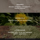 genius-joy-nootropic-supplement-w-sam-e--5.jpg