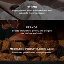 the-genius-brand-genius-muscle-muscle-he-5.jpg