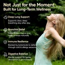 mullein-drops-for-lungs-120-servings-mul-5.jpg