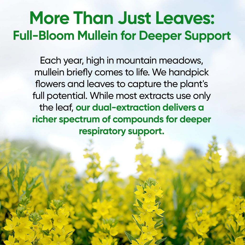 mullein-drops-for-lungs-120-servings-mul-2.jpg