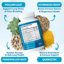 mullein-leaf-extract-for-lung-detox-clea-3.jpg
