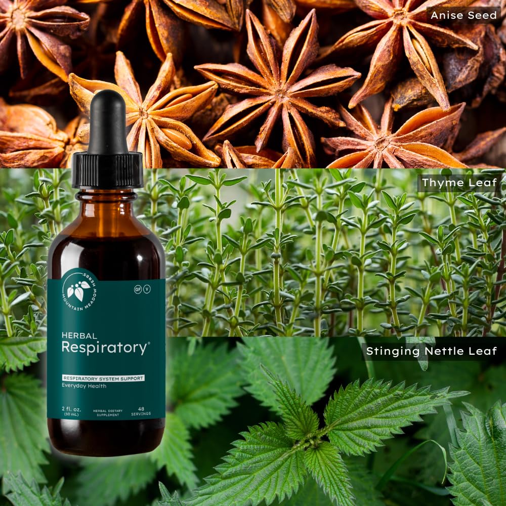 mountain-meadow-herbs-herbal-respiratory-5.jpg