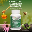 propolis-organic-elderberry-extract-with-2.jpg