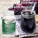 propolis-organic-elderberry-extract-with-4.jpg