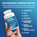 dr-berg-emergency-immune-support-w-echin-6.jpg