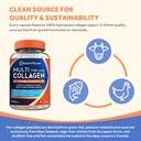 doctor-s-recipes-multi-collagen-peptides-6.jpg