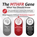 10x-health-5-mthf-methylfolate-methylate-6.jpg