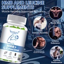 2-packs-hmb-and-leucine-supplements-gumm-4.jpg
