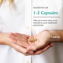 vitanica-lactationblend-lactation-supple-5.jpg