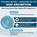 ulmubra-liposomal-palmitoylethanolamide--3.jpg