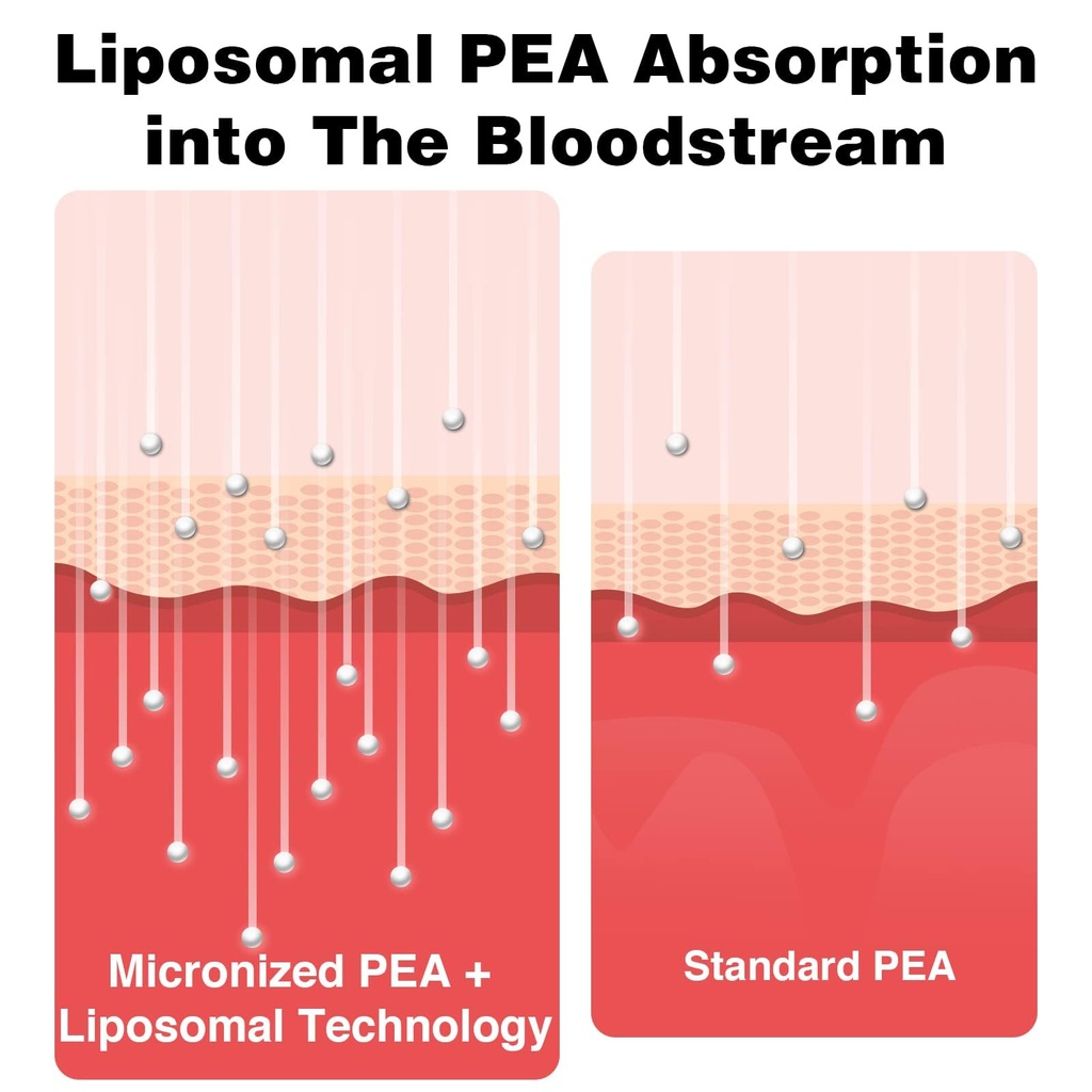 liposomal-palmitoylethanolamide-1000-mg--3.jpg