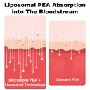 liposomal-palmitoylethanolamide-1000-mg--3.jpg