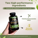 gade-nutrition-palmitoylethanolamide-pea-3.jpg