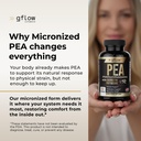 gflow-vitamins-pea-supplement-with-querc-3.jpg