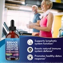 new-age-lymphatic-drainage-supplement-bu-3.jpg