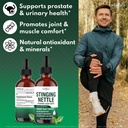 stinging-nettle-root-drops-stinging-nett-2.jpg