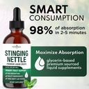 stinging-nettle-root-drops-stinging-nett-5.jpg