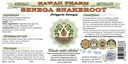 senega-snakeroot-alcohol-free-liquid-ext-2.jpg