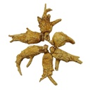 new-green-nutrition-hand-selected-a-grad-4.jpg