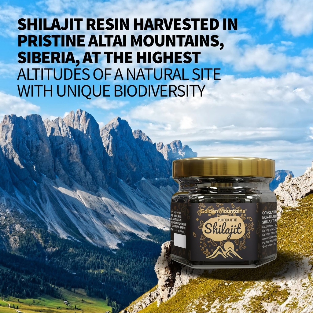 pure-authentic-siberian-altai-golden-mou-2.jpg