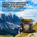 pure-authentic-siberian-altai-golden-mou-2.jpg