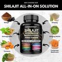 8-in-1-shilajit-9000-panax-ginseng-1500m-3.jpg