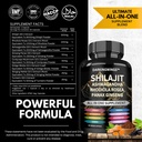 8-in-1-shilajit-9000-panax-ginseng-1500m-2.jpg