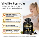 shilajit-for-men-women-10-in-1-pure-hima-6.jpg