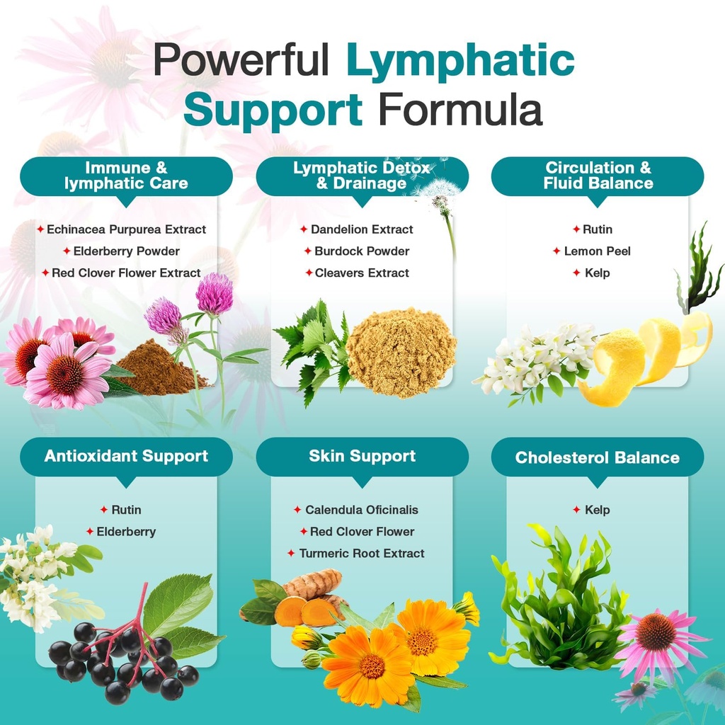 lymphatic-drainage-supplements-lymphatic-3.jpg