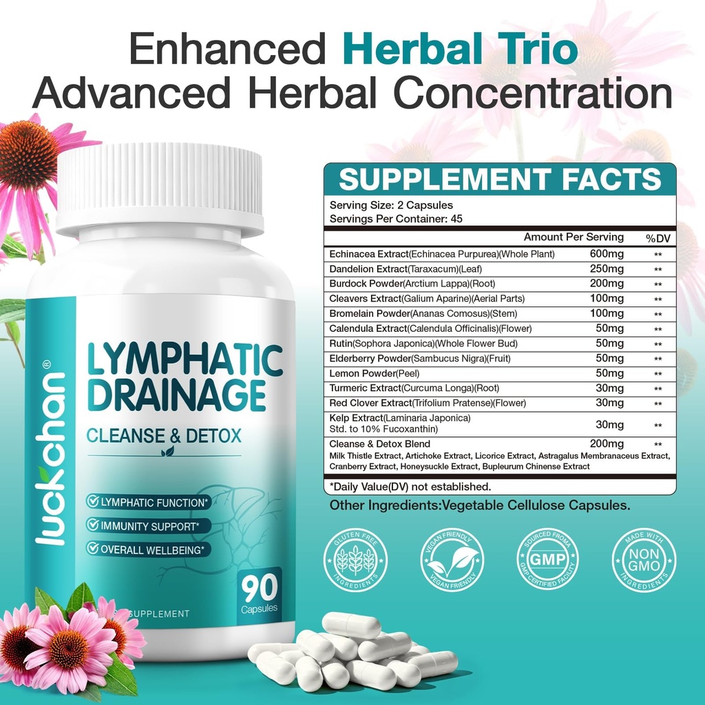 lymphatic-drainage-supplements-lymphatic-5.jpg