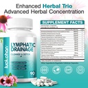lymphatic-drainage-supplements-lymphatic-5.jpg
