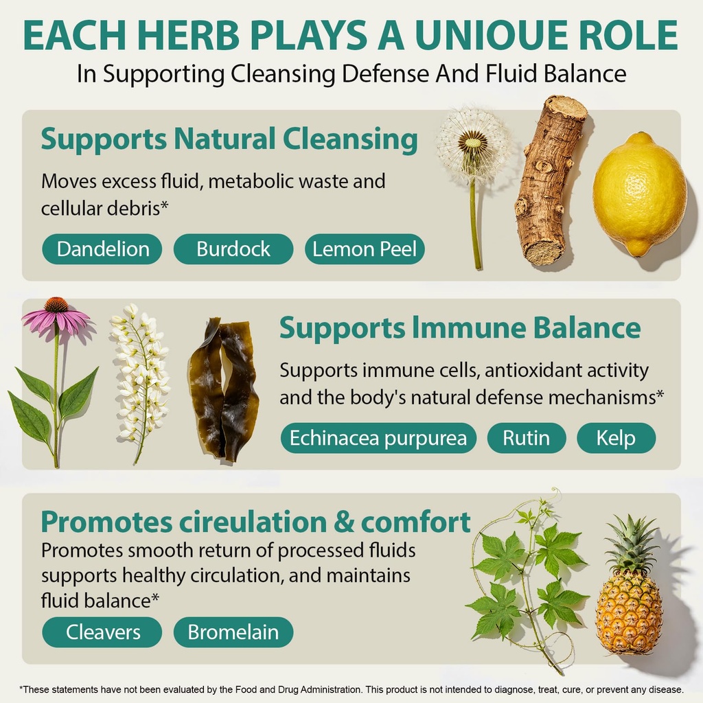 lymphatic-drainage-supplements-lymphatic-2.jpg