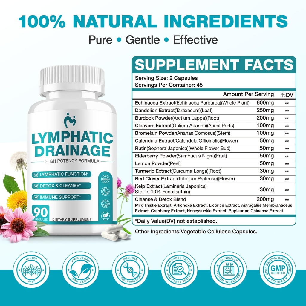 lymphatic-drainage-supplements-lymphatic-5.jpg