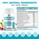 lymphatic-drainage-supplements-lymphatic-5.jpg