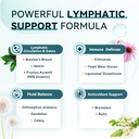imatchme-lymphatic-drainage-supplements--4.jpg