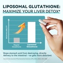 imatchme-lymphatic-drainage-supplements--5.jpg
