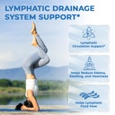 lymphatic-drainage-supplement-with-echin-4.jpg