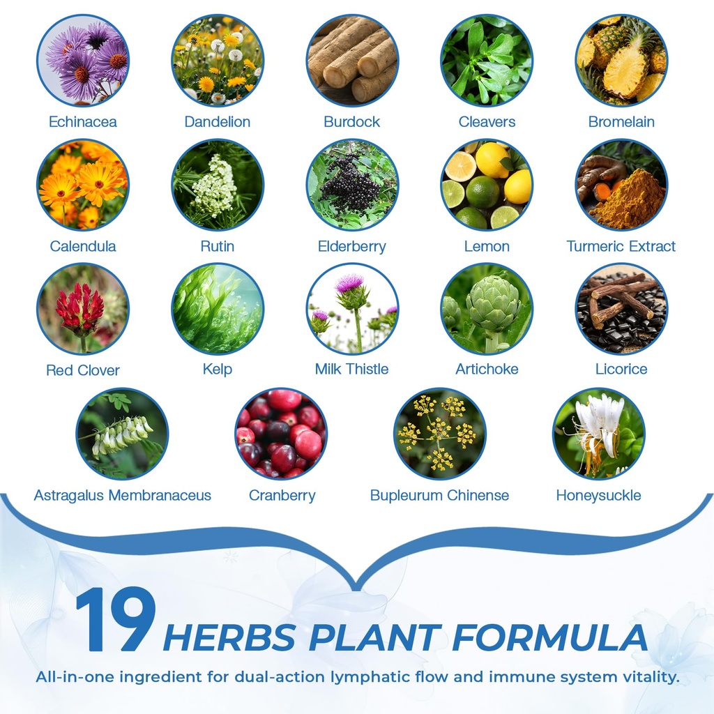 lymphatic-drainage-supplement-with-echin-3.jpg