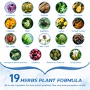 lymphatic-drainage-supplement-with-echin-3.jpg