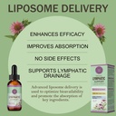 ourozo-lymphatic-drainage-drops-for-lymp-3.jpg