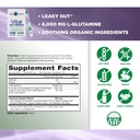 vital-planet-vital-gut-renew-powder-supp-2.jpg