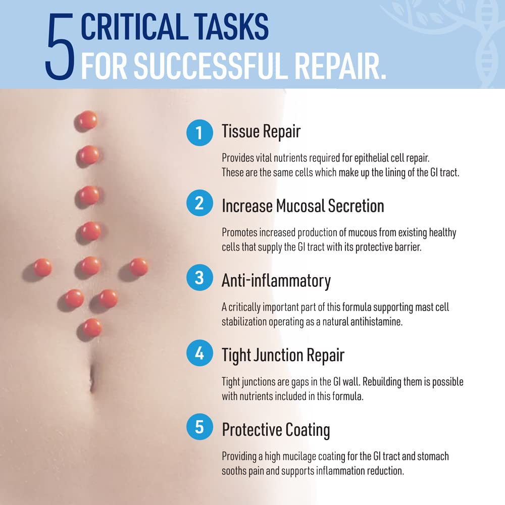 leaky-gut-repair-natural-gut-health-supp-4.jpg