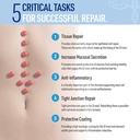 leaky-gut-repair-natural-gut-health-supp-4.jpg