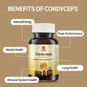 cordyceps-capsules-mushroom-extract-supp-5.jpg