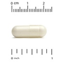 california-gold-nutrition-bcaa-ajipure-b-3.jpg