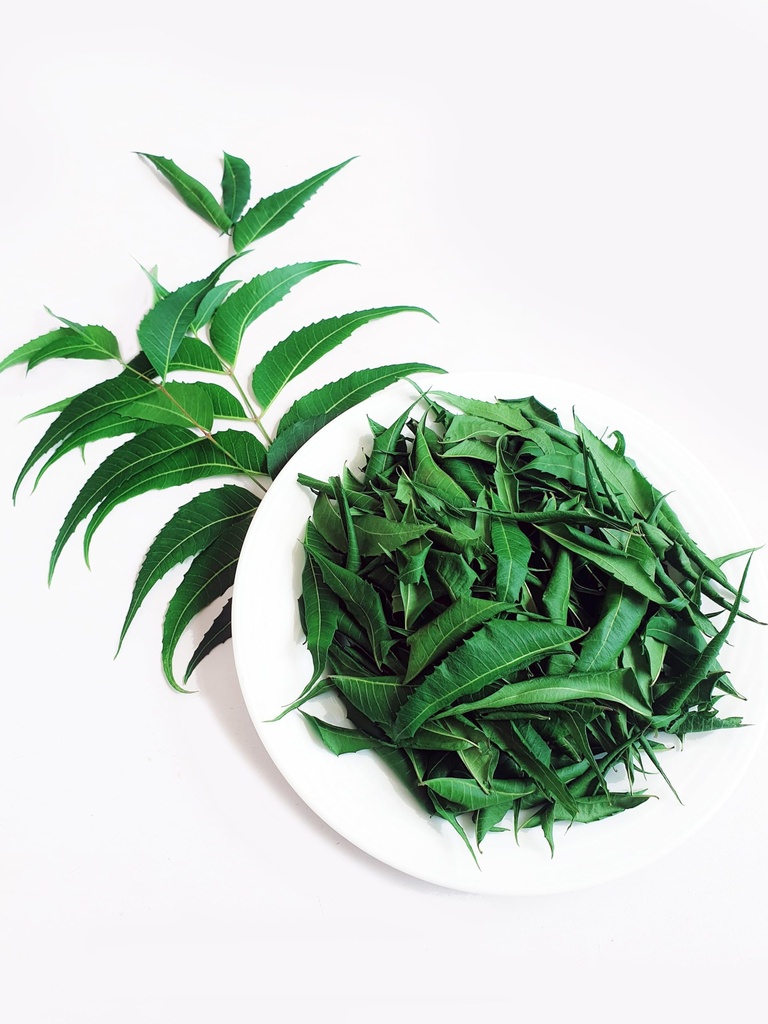 neem-leaves-whole-naturally-grown-premiu-2.jpg